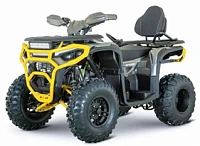 Квадроцикл YACOTA DRUID 250 PRO Квадроцикл YACOTA DRUID 250 PRO