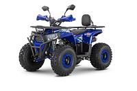 Квадроцикл WELS Trail 125 Pro Квадроцикл WELS Trail 125 Pro