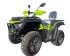 Квадроцикл YAQI 300cc, 4х4WD, с лебедкой, кикстартер Квадроцикл YAQI 300cc, 4х4WD, с лебедкой, кикстартер