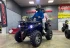 Квадроцикл PROMAX RENEGADE 250 LONG WINCH PRO