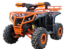 Квадроцикл IRIDE IRIDE RINO SUPER 125 3+1