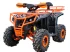 Квадроцикл IRIDE IRIDE RINO SUPER 125 3+1