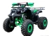 Квадроцикл IRIDE BTR 125-5