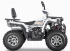 Квадроцикл YACOTA VIKING PRO 200 Квадроцикл YACOTA VIKING PRO 200